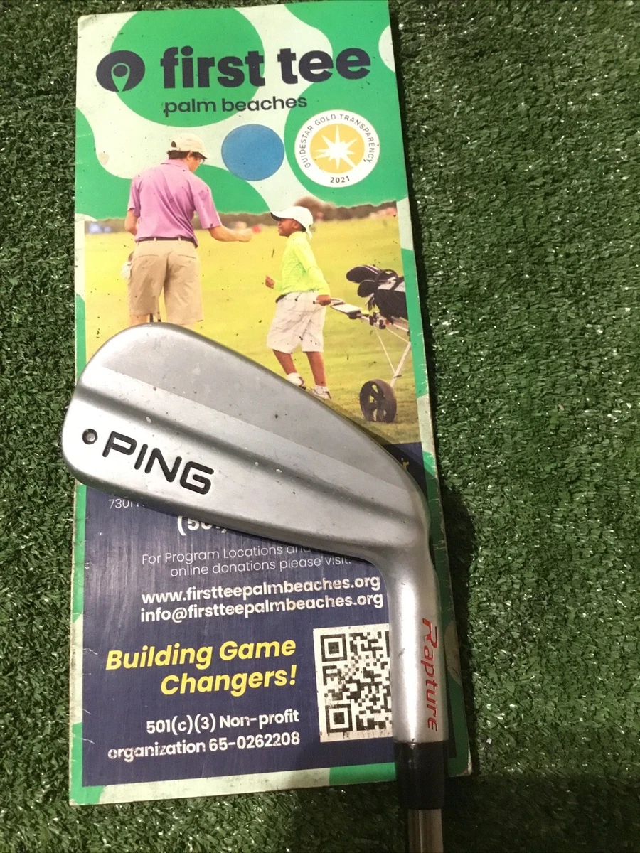 Fer 8 Ping Zing 2 – Gauche, Manche Graphite Stiff, Points Noirs – Occasion Homme
