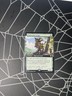 Trailtracker Scout Extended Art Commander: Bloomburrow NM-Mint MTG non-foil