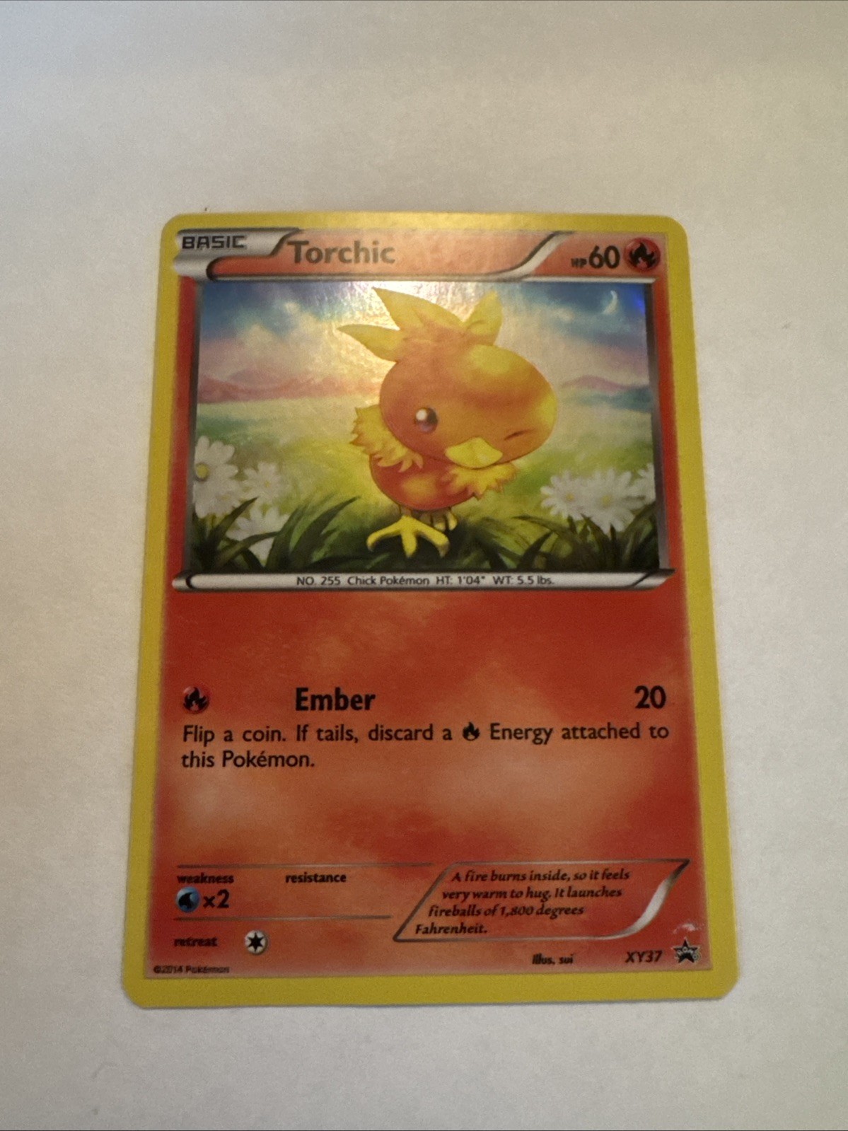 Pokemon TCG Torchic XY37 XY Black Star Promos Holo LP
