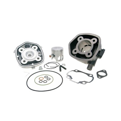 166.0083 GUSSEISEN ZYLINDER D.47 POLINI YAMAHA AEROX 50 H2O NO PINASCO
