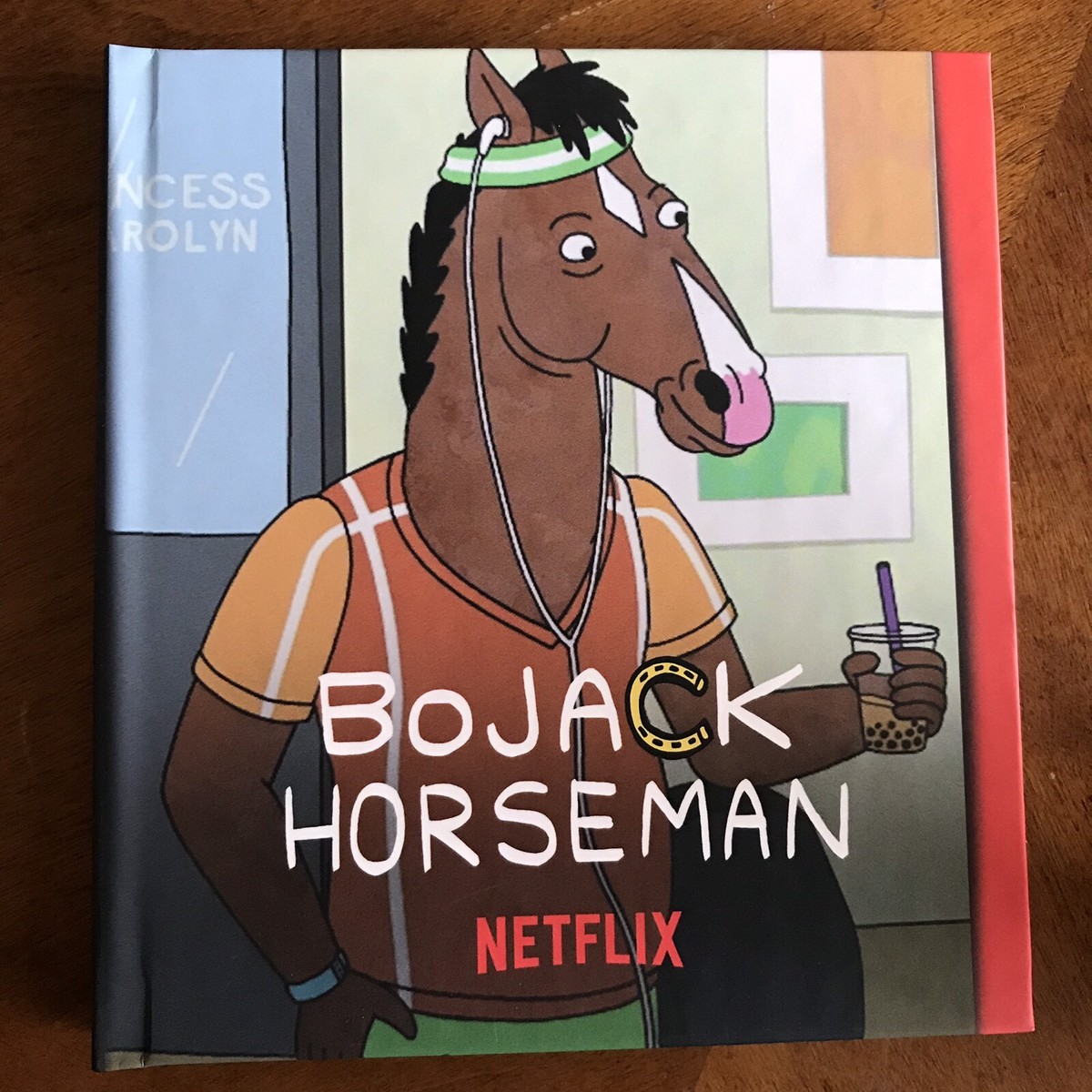 BOJACK HORSEMAN Complete Season (12 episodes) Netflix Emmy FYC DVD set
