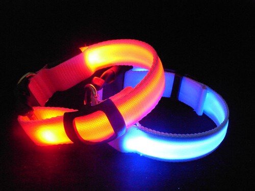 LED Glow Collar Dog Puppy Pet Flashing Light Safety Glow In The Dark FAST POST - Picture 48 of 81