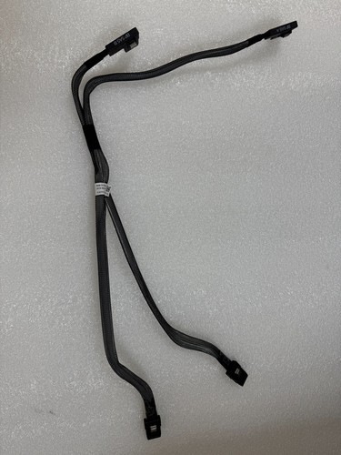 Genuine Dell PowerEdge R620 Mini SAS for Perc 8 Cable R1RNV 0R1RNV - 第 1/4 張圖片