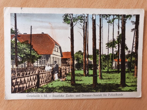 Carte postale Grünheide in der Mark Anstalt für Police Dogs près d'Erkner et Rüdersdorf  - Photo 1 sur 2