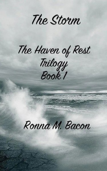 The Storm Ronna M Bacon Taschenbuch The Haven Of Rest Englisch 2017 Ronna Bacon-image