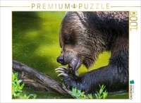 Calvendo Puzzle Fressaktion | 1000 Teile Lege-GrößE 64X48Cm Foto-Puzzle FüR GlüC
