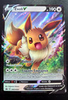 Carte Pokémon Evoli V Swsh065 Promo Epée Bouclier Alternative Display etb