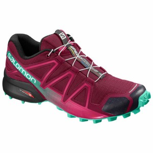 salomon speedcross w