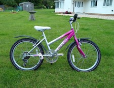 raleigh krush 20 purple