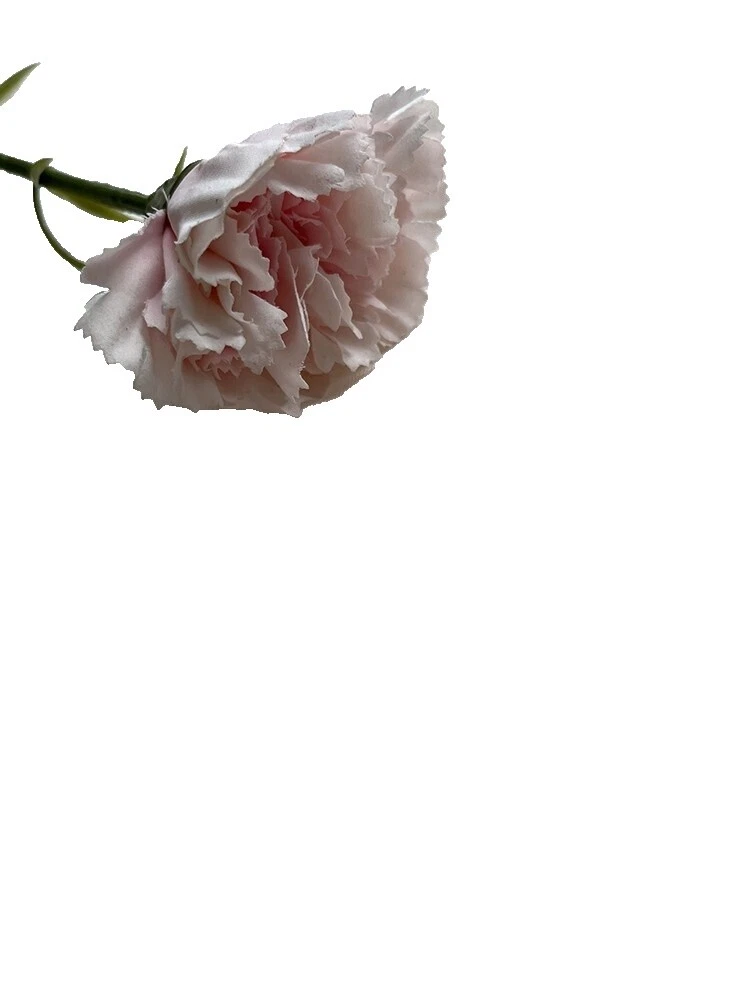 Géneros artesanales color blanco, viscosa