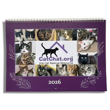 Cat Rescue Charity Wall Calendar 2026 Month to View. Different Cat Each Month.