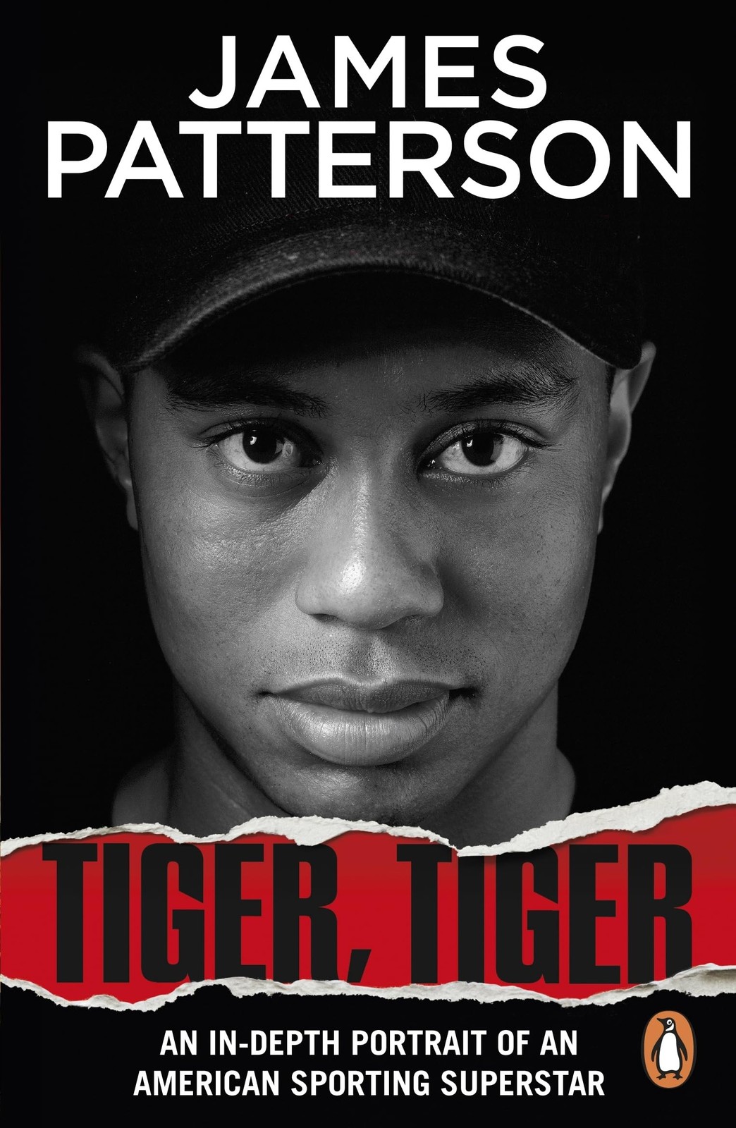 Tiger, Tiger by James Patterson - - Image 5