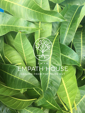 Fresh Mango Leaves 25/35 Freshly Picked Tea 100 Organic Herbal Tea