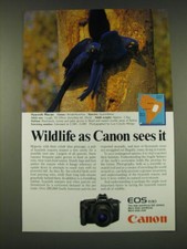 1989 Canon EOS 630 Camera Ad - Hyacinth Macaw - Wildlife as Canon sees it