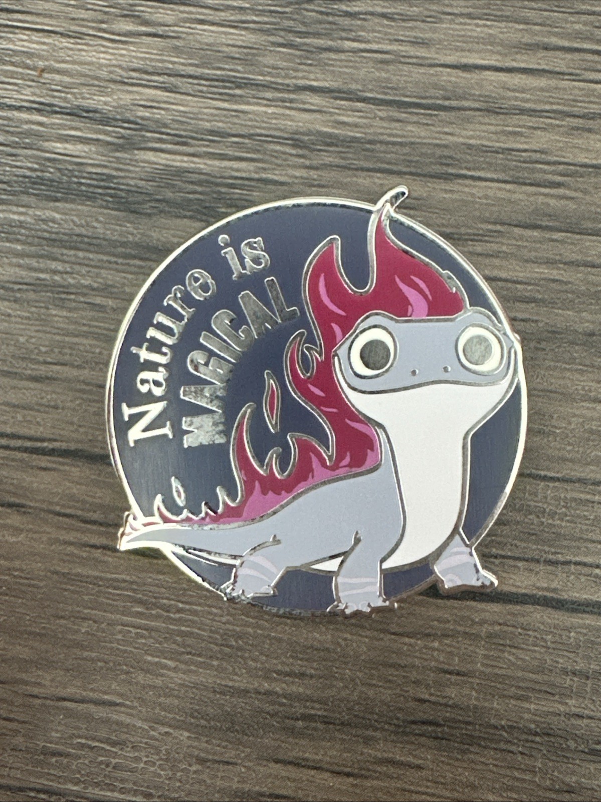 2019 Frozen 2 Bruno “Nature Is Magical”  Disney Trading Pin LR