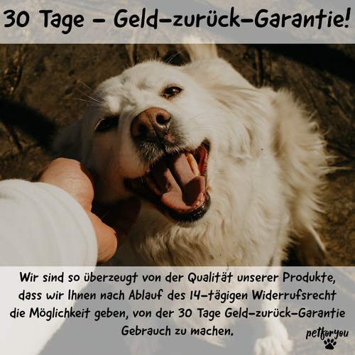 XXL Rinderohren mit Muschel 25 Stück / Hundesnack / Kauartikel wie Schweineohren - Bild 5 von 8