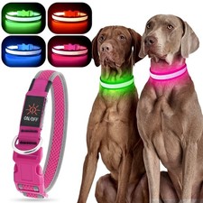 YFbrite Light up Dog Collar, USB Rechargeable LED Puppy Collar Super Bright A...