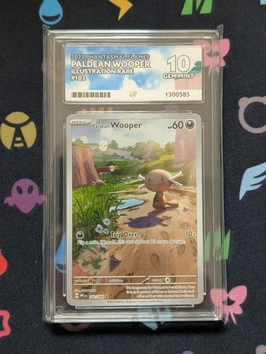 Paldean Wooper [102/094] Phantasmal Flames Illustration Rare Ace Grade 10