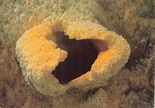 ITALY ETNA ERUPTION 1978