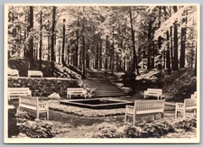 Promenade am Königsplatz Ziegenhals Benches Forest Stairs RPPC