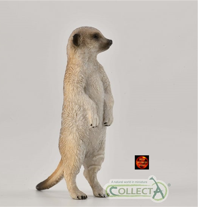 Common Otter River Wildlife Toy Model Figure by CollectA 88941 for displays