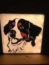 Lampe BOUVIER BERNOIS éclairage leds à piles