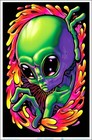 Alien Encounter Flocked Blacklight Poster - 23" x 35"