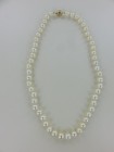 Beautiful White Pearl Choker 6mm w/14K Yellow Gold Ball Clasp 15" Necklace — photo 5