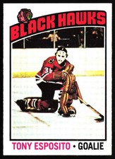 Click to enlarge Tony Esposito