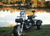 E-Scooter Coco Trike Bike Dreirad 60V 28Ah 2000Watt Mit StraßEnzulassung Roller