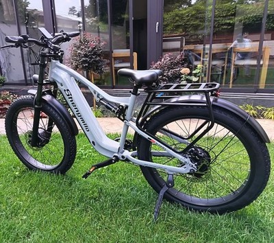 Elektrofahrrad Dual Motor 2000W 48V 17.5AH Pedelec Mountainbike MTB City E-Bike