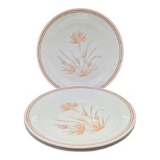 16 pc Corelle Peach Floral Dinnerware Service For 4, Plates Cups Saucers Bowls