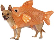 Disfraz de pez dorado pez animal mar océano disfraz elegante Halloween mascota perro gato