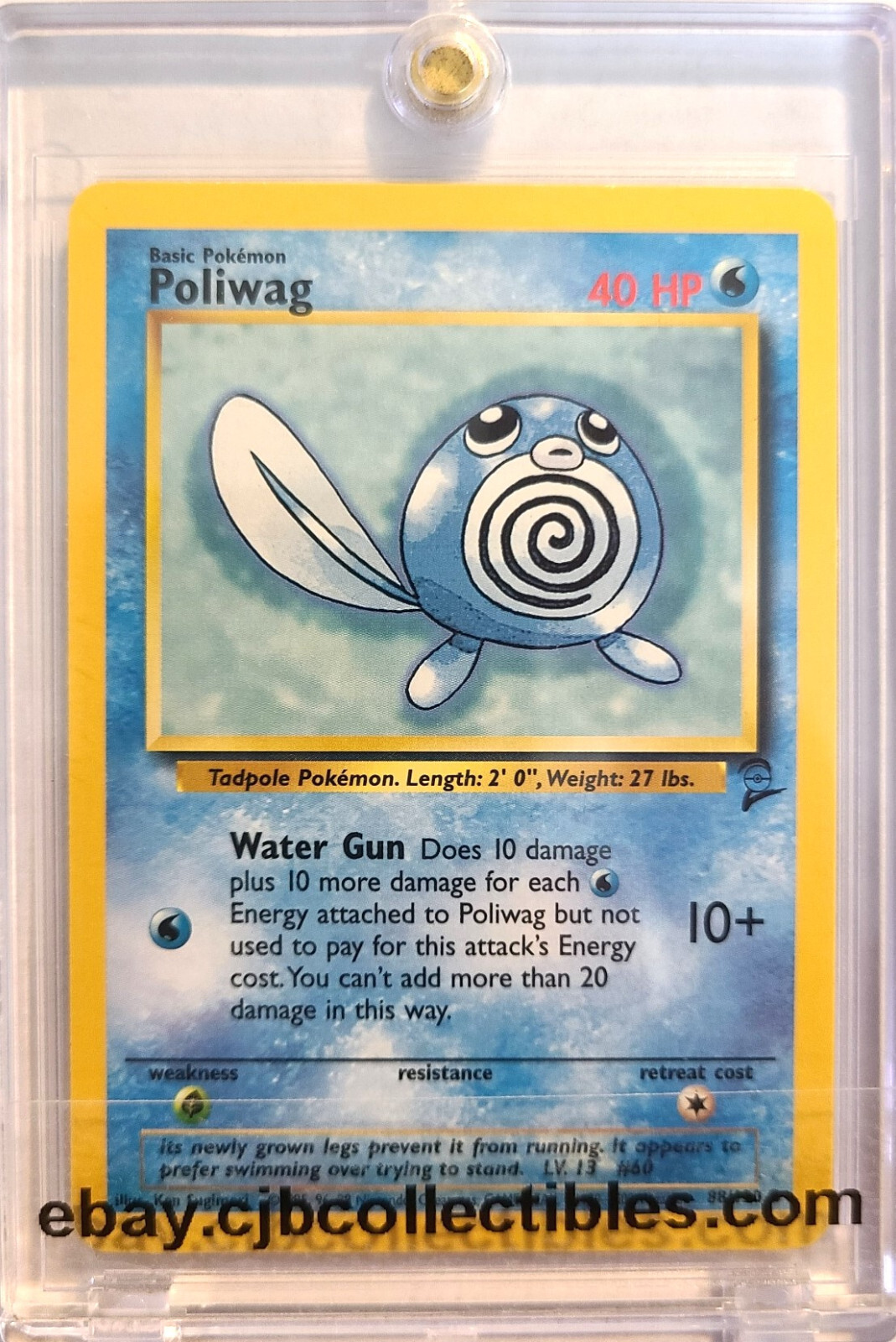 Pokémon POLIWAG 88/130 Base Set 2 - Light Play 🍒