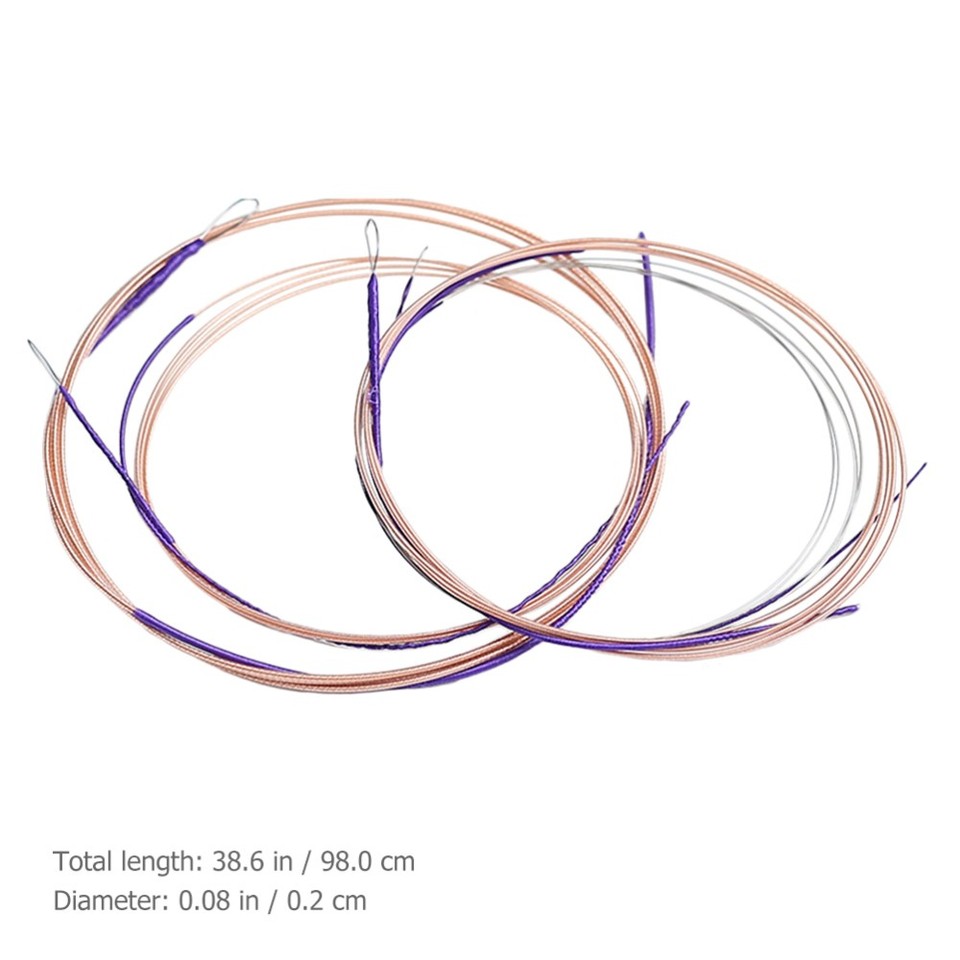 4 Pcs Lute Practice String Chinese Strings Pipa Instrument Musical | eBay