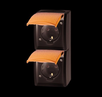 Busch-Jaeger 20-02 EBW-53 SCHUKO  Steckdose mit integriertem erhöhtem Berührungs