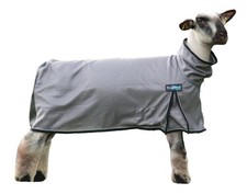 Weaver Leather Livestock Procool Sheep Blanket Reflective Piping Medium Gray