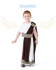 SN-F6-1 Boys Zeus Greek God Toga Roman King Emperor Costume