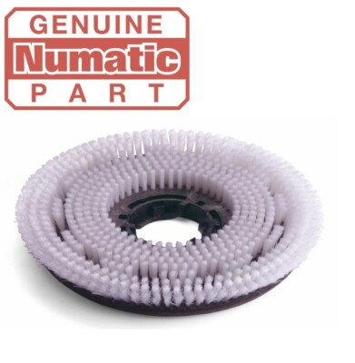 Numatic Shampoo Bürste 16'' Teppich Soft Peeling Twintec Schrubber Trockner TT TTB 606204