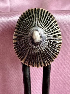 2 Sided Wooden Hair Fork with LARGE Unprocessed Natural Color Hawaiian Opihis