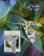 Moths Insects MNH Stamps 2025 Togo S/S
