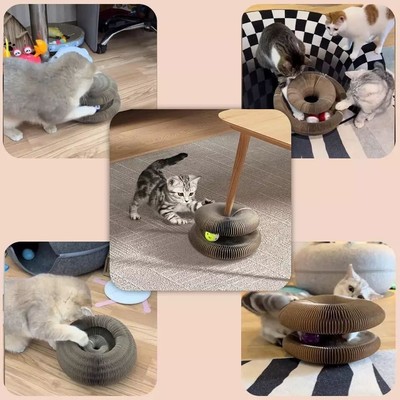 Griffoir Pour Chat Pliable Avec Aimant - Transformable, Avec Balle à Clochette - Sans Colle, Gain De Place - 5