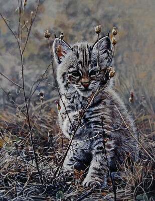 Terry Issac, ''Peek A Boo'', poster, 16''h x 12''w image, 19''h x 13''w overall