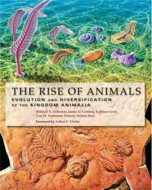 The Rise of Animals: Evolution and Diversification of the Kingdom Animalia by...