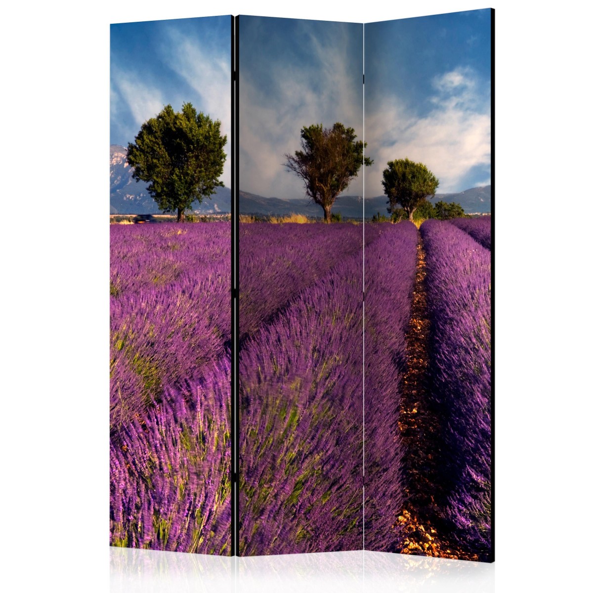 Paravent 3 volets Provence occultant pour cacher un lit ou ranger un studio