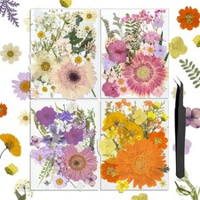 Natural Dried Pressed Flowers for Resin Bulk Real Dry Flowers and Leaves Kit ...