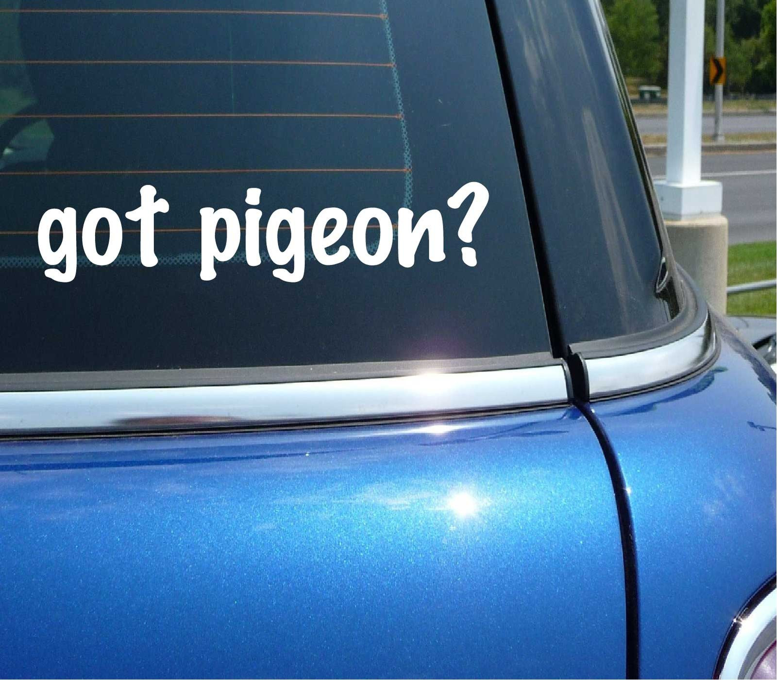 Got Pigeon Funny Car Bumper Sticker Vinyl Decal