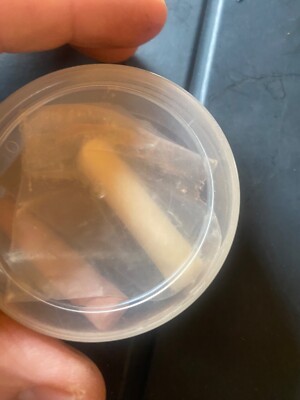 Primos Hunting Box Call Chalk Wax Free Turkey Accessory