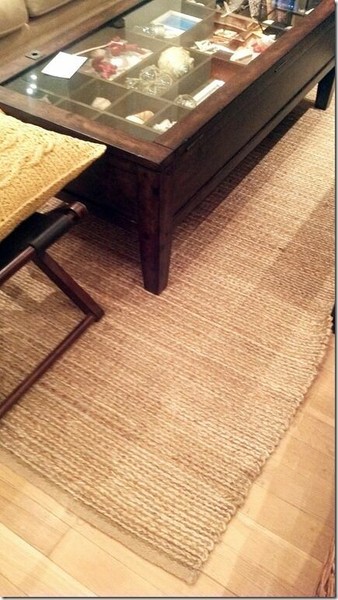 Pottery Barn Heathered Chenille Jute Rug Natural 5x8 Heather In