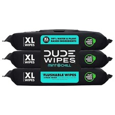 DUDE Wipes Flushable Wipes Mint Chill  144 Wipes 3 Pack  XL Adult Wipes Free